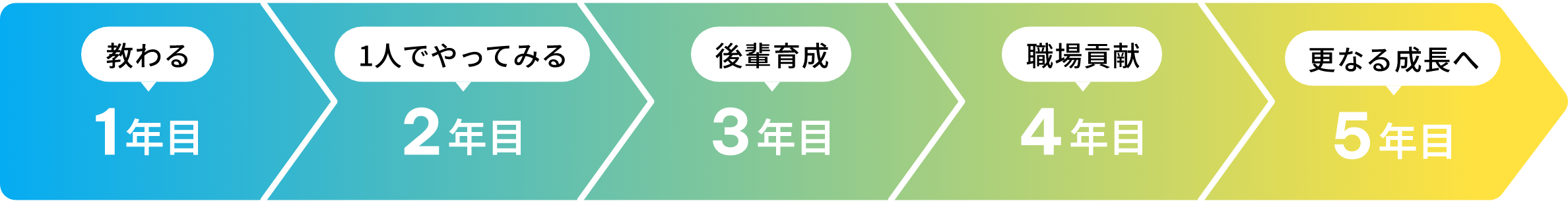 1年目、教わる。2年目。1人でやってみる。3年目、後輩育成。4年目、職場貢献。5年目、更なる成長へ。